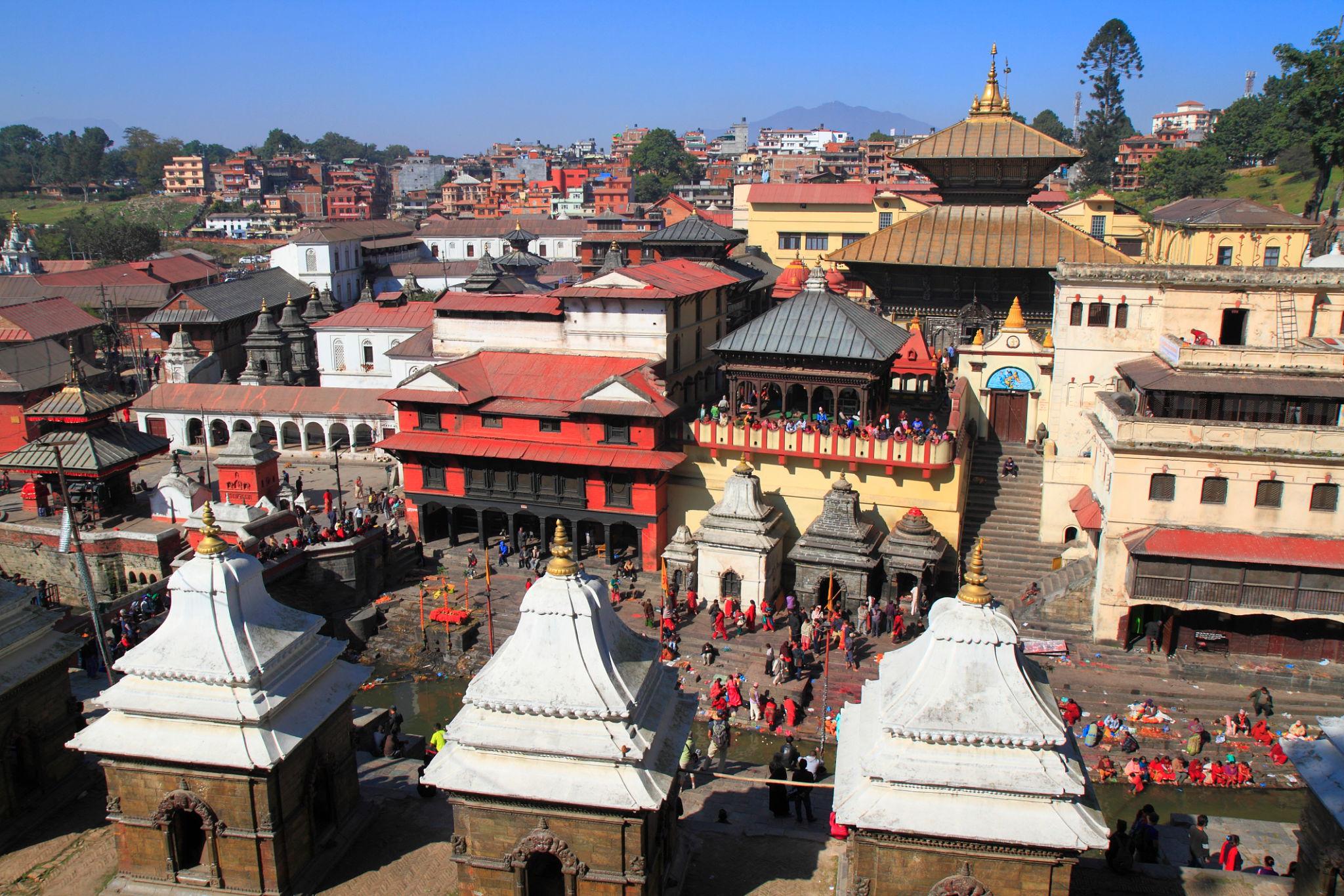 1 Mukhi Rudraksha Price in Nepal