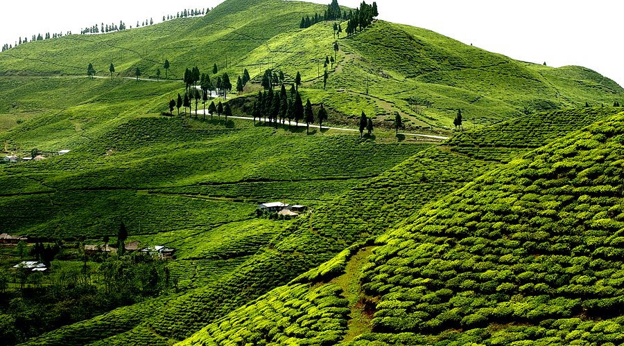 Nepal Visa for Indians